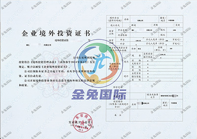 ODI备案成功案例3
