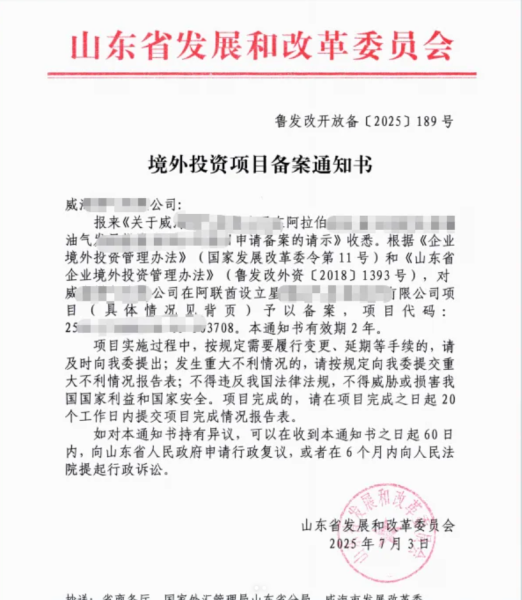 山东企业境外投资ODI备案全攻略与专业代办服务：助您稳健出海